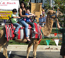 Camel rides, hayrides, inflatables, climbing tower and more at the Apple Stir Fall Harvest Festival at MacQueen Apple Orchard, Cider Mill, Farm Market, and Pick Your Own Apples, Holland, Ohio, west of Toledo